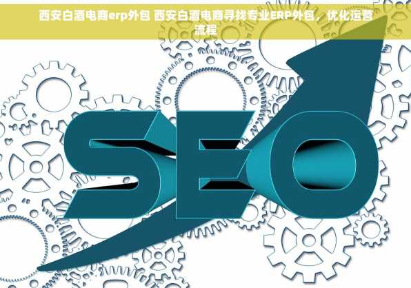 西安白酒电商erp外包 西安白酒电商寻找专业ERP外包，优化运营流程