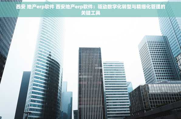 西安 地产erp软件 西安地产erp软件：驱动数字化转型与精细化管理的关键工具