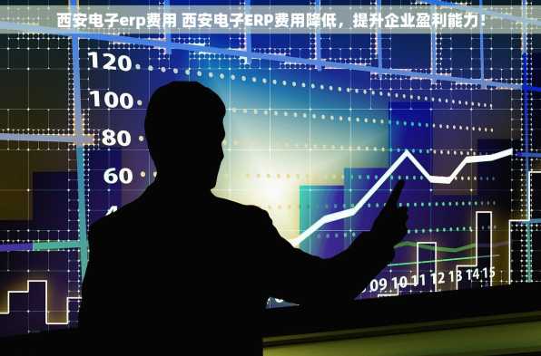 西安电子erp费用 西安电子ERP费用降低，提升企业盈利能力！