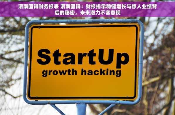 渭南固锝财务报表 渭南固锝：财报揭示稳健增长与惊人业绩背后的秘密，未来潜力不容忽视