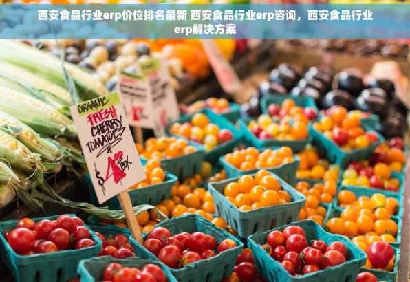 西安食品行业erp价位排名最新 西安食品行业erp咨询，西安食品行业erp解决方案
