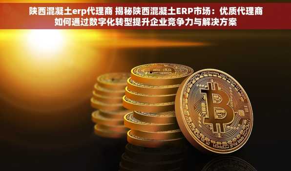 陕西混凝土erp代理商 揭秘陕西混凝土ERP市场：优质代理商如何通过数字化转型提升企业竞争力与解决方案