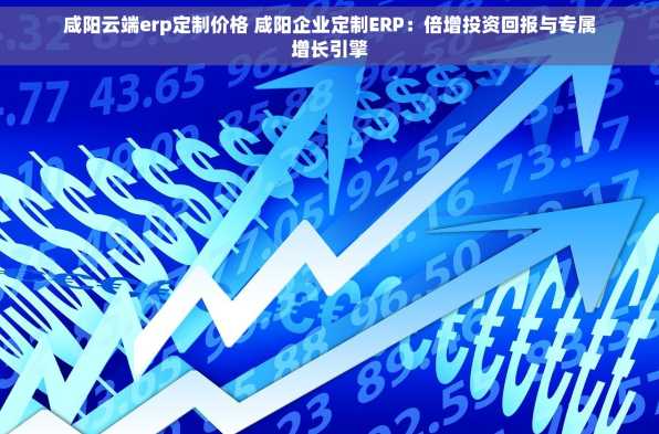 咸阳云端erp定制价格 咸阳企业定制ERP：倍增投资回报与专属增长引擎