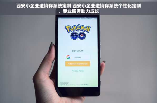 西安小企业进销存系统定制 西安小企业进销存系统个性化定制，专业服务助力成长