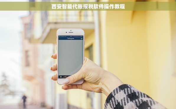 西安智能代账报税软件操作教程