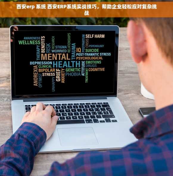 西安erp 系统 西安ERP系统实战技巧，帮助企业轻松应对复杂挑战
