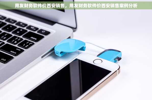 用友财务软件价西安销售，用友财务软件价西安销售案例分析