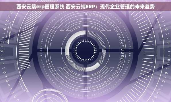 西安云端erp管理系统 西安云端ERP：现代企业管理的未来趋势