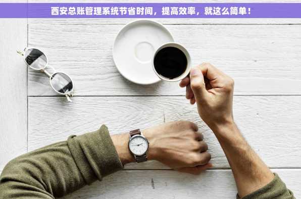 西安总账管理系统节省时间，提高效率，就这么简单！