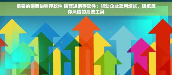 重要的陕西进销存软件 陕西进销存软件：驱动企业盈利增长，降低库存风险的高效工具