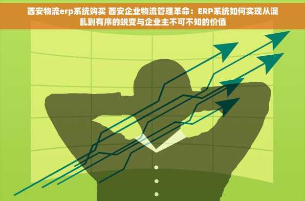 西安物流erp系统购买 西安企业物流管理革命：ERP系统如何实现从混乱到有序的蜕变与企业主不可不知的价值