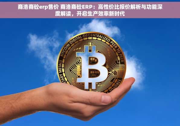 商洛商砼erp售价 商洛商砼ERP：高性价比报价解析与功能深度解读，开启生产效率新时代