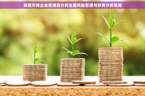 陕西天博企业管理会计的全面风险管理与财务分析策略