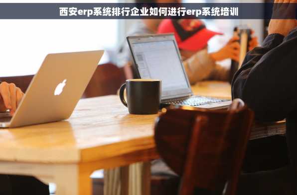 西安erp系统排行企业如何进行erp系统培训
