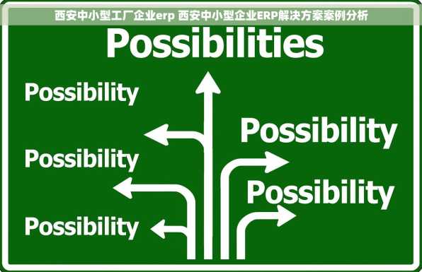 西安中小型工厂企业erp 西安中小型企业ERP解决方案案例分析