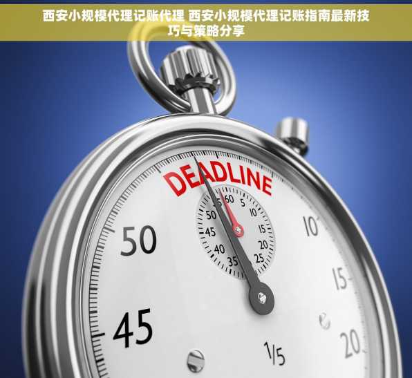西安小规模代理记账代理 西安小规模代理记账指南最新技巧与策略分享