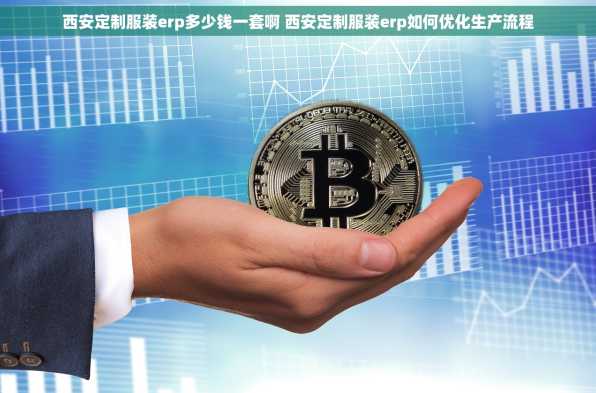 西安定制服装erp多少钱一套啊 西安定制服装erp如何优化生产流程