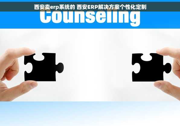 西安卖erp系统的 西安ERP解决方案个性化定制