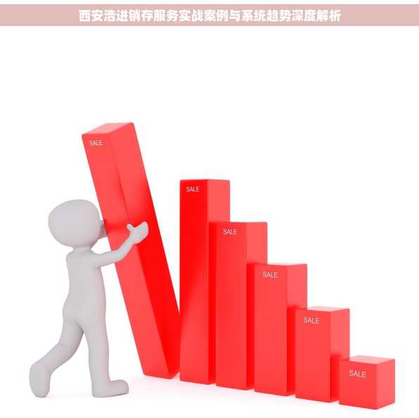 西安浩进销存服务实战案例与系统趋势深度解析