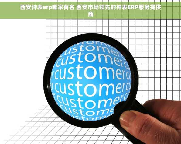 西安钟表erp哪家有名 西安市场领先的钟表ERP服务提供商