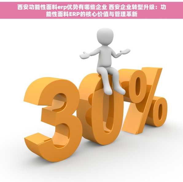 西安功能性面料erp优势有哪些企业 西安企业转型升级：功能性面料ERP的核心价值与管理革新
