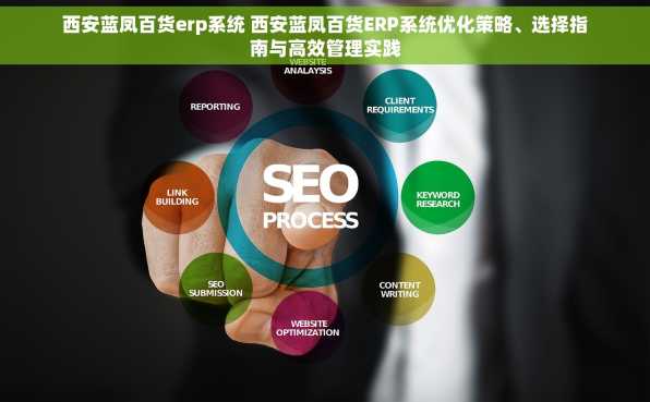 西安蓝凤百货erp系统 西安蓝凤百货ERP系统优化策略、选择指南与高效管理实践