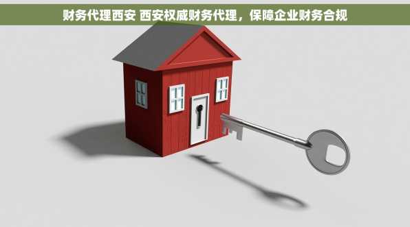 财务代理西安 西安权威财务代理，保障企业财务合规
