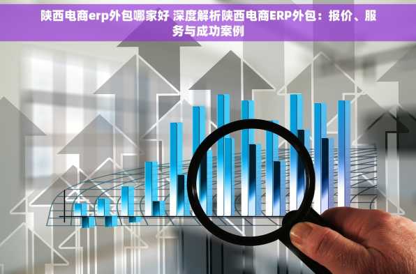 陕西电商erp外包哪家好 深度解析陕西电商ERP外包：报价、服务与成功案例