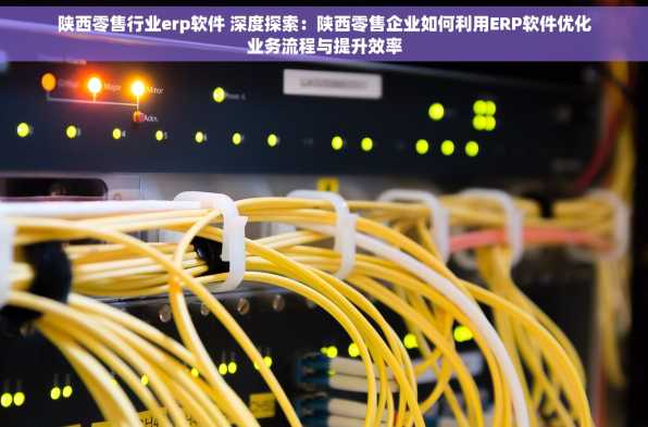 陕西零售行业erp软件 深度探索：陕西零售企业如何利用ERP软件优化业务流程与提升效率