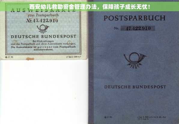 西安幼儿救助资金管理办法，保障孩子成长无忧！