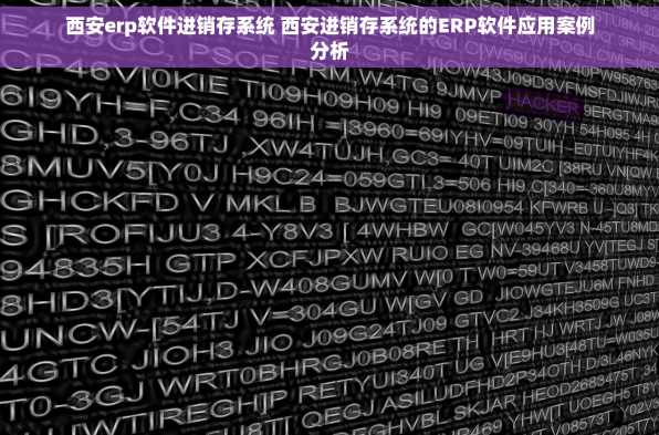 西安erp软件进销存系统 西安进销存系统的ERP软件应用案例分析