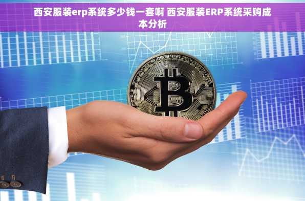 西安服装erp系统多少钱一套啊 西安服装ERP系统采购成本分析