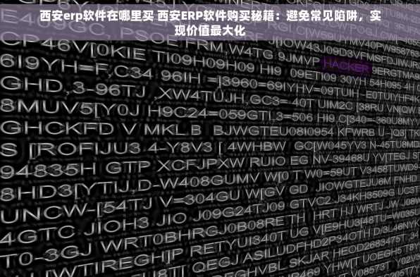 西安erp软件在哪里买 西安ERP软件购买秘籍：避免常见陷阱，实现价值最大化