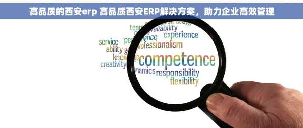 高品质的西安erp 高品质西安ERP解决方案，助力企业高效管理