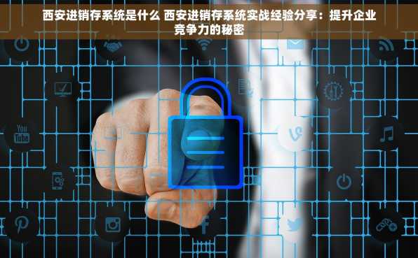 西安进销存系统是什么 西安进销存系统实战经验分享：提升企业竞争力的秘密