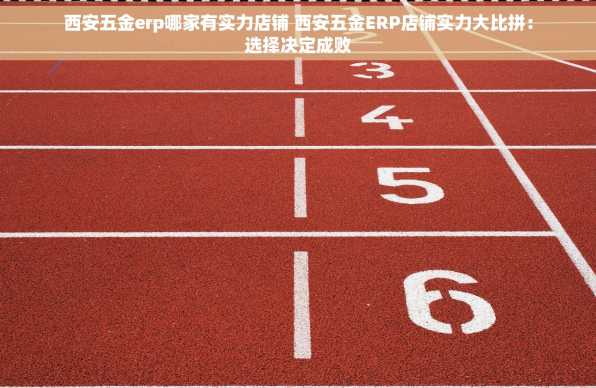 西安五金erp哪家有实力店铺 西安五金ERP店铺实力大比拼：选择决定成败