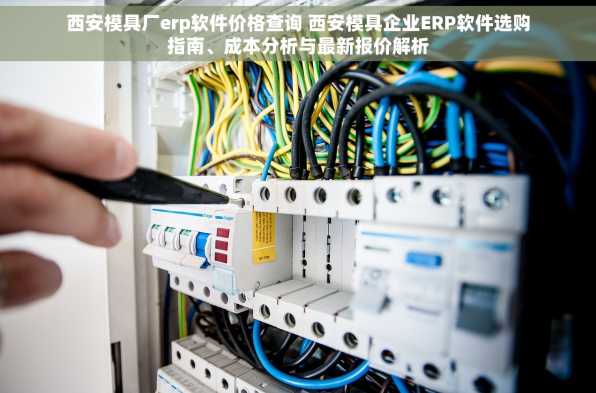 西安模具厂erp软件价格查询 西安模具企业ERP软件选购指南、成本分析与最新报价解析