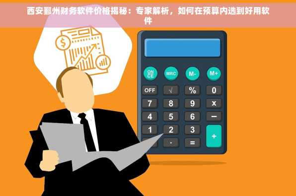 西安鄞州财务软件价格揭秘：专家解析，如何在预算内选到好用软件