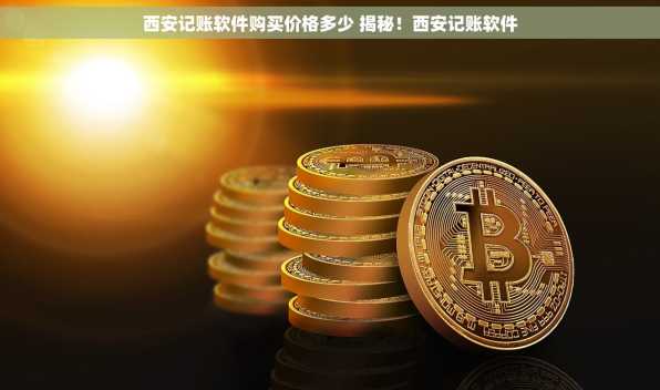 西安记账软件购买价格多少 揭秘！西安记账软件