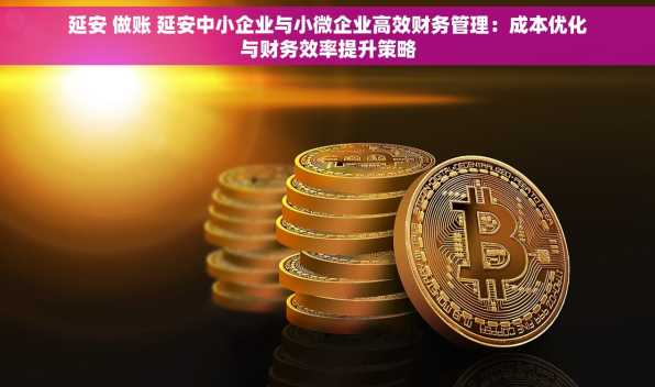 延安 做账 延安中小企业与小微企业高效财务管理：成本优化与财务效率提升策略