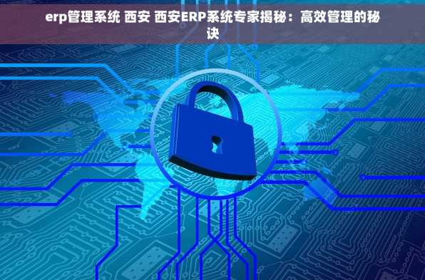 erp管理系统 西安 西安ERP系统专家揭秘：高效管理的秘诀