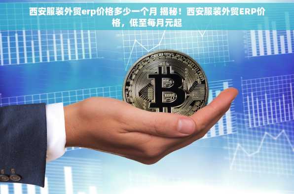 西安服装外贸erp价格多少一个月 揭秘！西安服装外贸ERP价格，低至每月元起