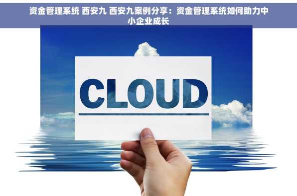 资金管理系统 西安九 西安九案例分享：资金管理系统如何助力中小企业成长