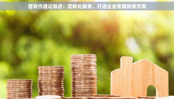 西安代理记账点：定制化服务，打造企业专属财务方案