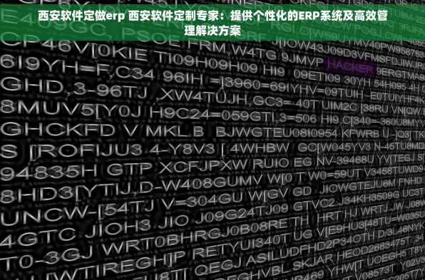 西安软件定做erp 西安软件定制专家：提供个性化的ERP系统及高效管理解决方案