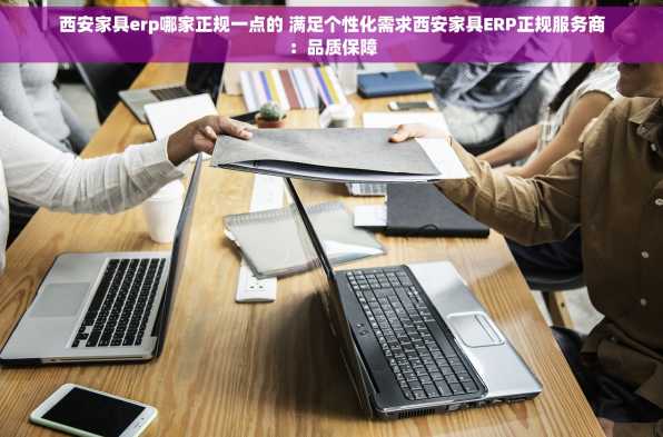 西安家具erp哪家正规一点的 满足个性化需求西安家具ERP正规服务商：品质保障