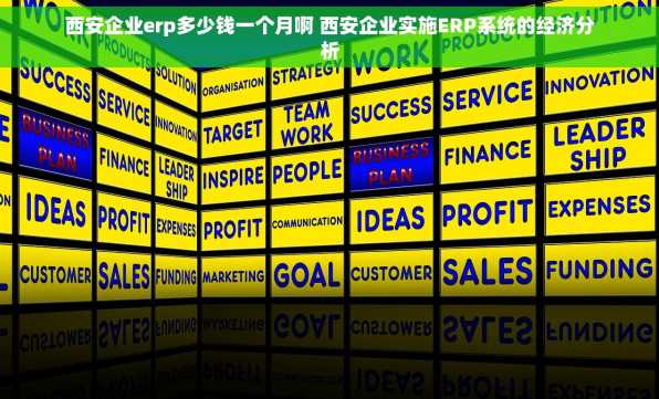 西安企业erp多少钱一个月啊 西安企业实施ERP系统的经济分析