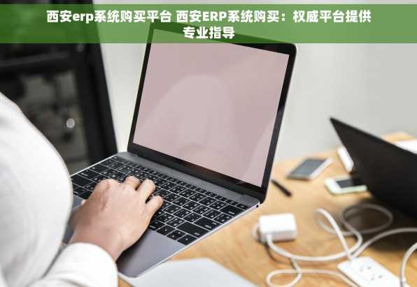 西安erp系统购买平台 西安ERP系统购买：权威平台提供专业指导