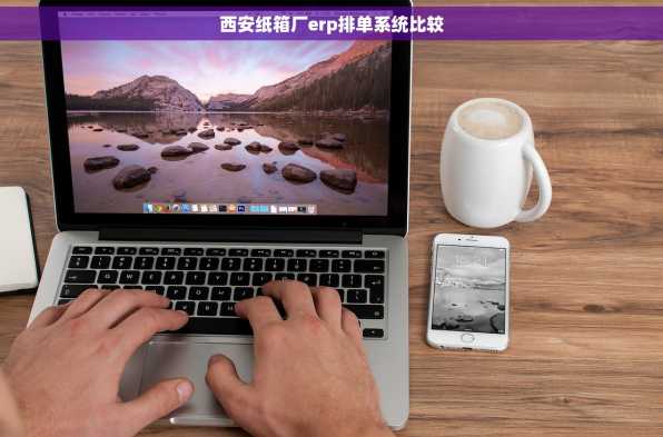 西安纸箱厂erp排单系统比较