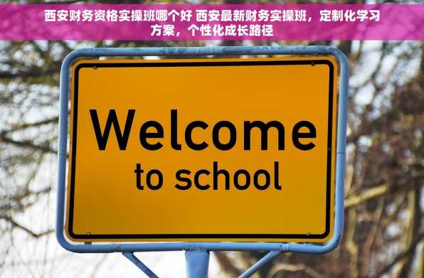 西安财务资格实操班哪个好 西安最新财务实操班，定制化学习方案，个性化成长路径